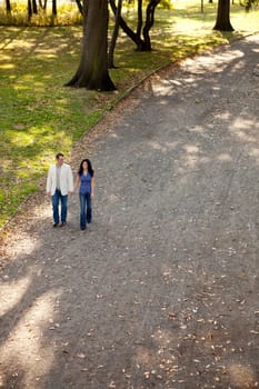 A happy couple walking in the park on a sunny day
