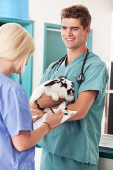 Portrait of a veterinarian holding rabbit with assistant taking report in animal hospital