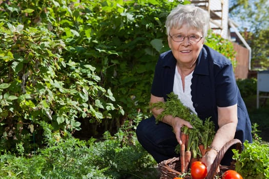 Portrait of elderly woman holding carrots and smiling