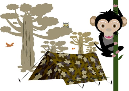 camping tent in the African savannah