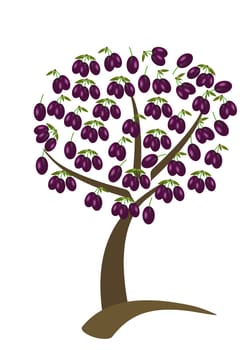 plums tree with the fruit