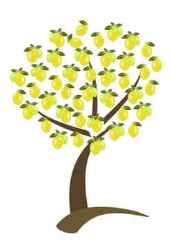 lemon tree