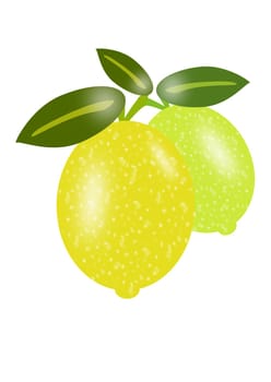 lemons