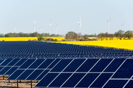 Wind turbines and solar panels in a rapeseed field