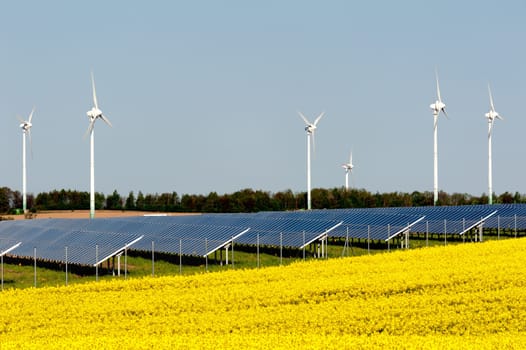 Wind turbines and solar panels in a rapeseed field