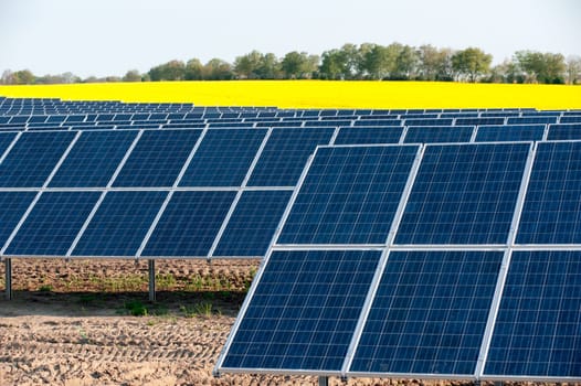 Solar panels in a rapeseed field