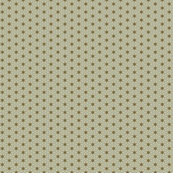 the vintage shabby background with classy patterns