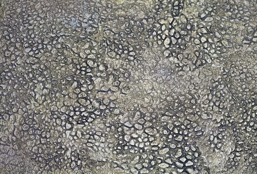 The Background from high detailed fragment stone wall