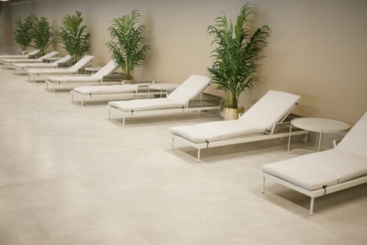 A tranquil lounge area featuring multiple sunbeds and decorative plants.