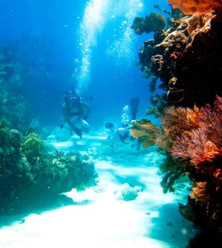 Two divers swimming toward camera through underwater reefs