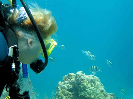 Underwater view of scuba diver swimming over coral reef off Florida Keys, America.