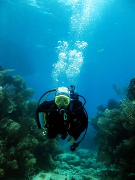 Underwater view of scuba diver swimming over coral reef off Florida Keys, America.