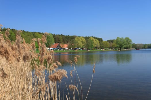 Rothsee
