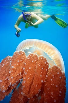 Underwater photographer snorkeling with jellyfish
