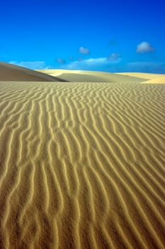 Sandy dunes in desert