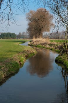 small brook flowing through an agricultural landscape