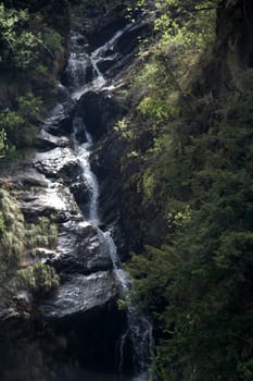 Water of brook rushing down along trail of rocky mountain