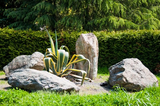 Natural arboretum park in bright city Sochi