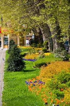Natural arboretum park in bright city Sochi