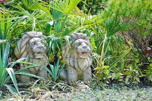 Chinese lion statue in garden in sunny day