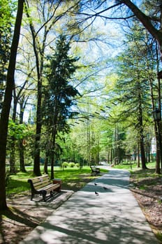 Sunny day in Riviera park in city Sochi