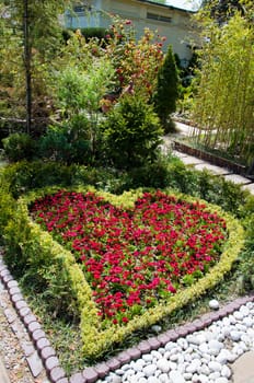 The red flower in the garden of park