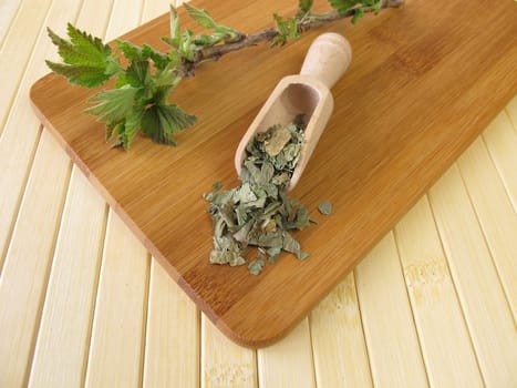 Blackcurrant leaves,Ribis nigri folium