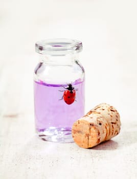 Red ladybird beetle climbing up a small glass bottle filled with a translucent lilac-coloured liquid