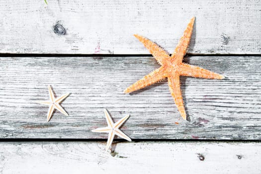 Three starfish or sea stars on a weathered textured wooden background of old timber planks with copyspace