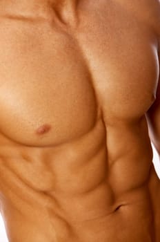 Muscular and tanned male torso isolated on white