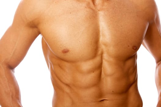 Muscular and tanned male torso isolated on white
