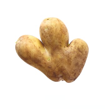 Funny Potato isolated on white background. Looks very funny