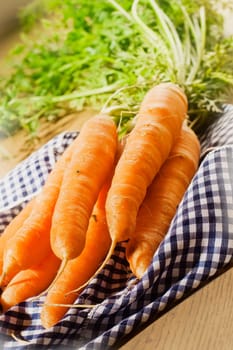 A bunch of bio carrots on a checked blue napkin on a wooden background