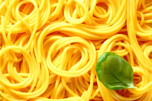 Closeup of freshly boiled spaghetti coiled in random patterns for an interesting background. With basil