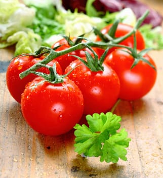 Bunch of fresh red ripe tomatoes with water droplets on rustic wooden boards.