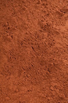 cacao powder, or chocolate powder for choc concepts