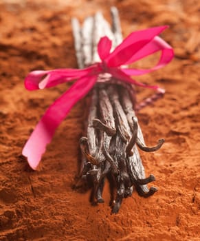 Bunch of Vanilla with a pin ribbon an powdered cocoa