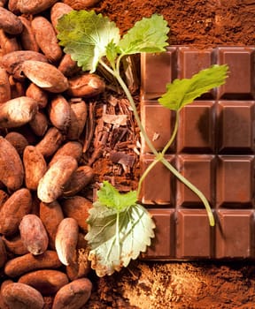Mint Chocolate with cocoa beans and powdered cacao in the background