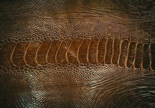 Genuine Leather for luxury goods and background composing