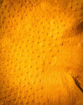 Ostrich Leather detail showing raised quill marks where the feathers were attached