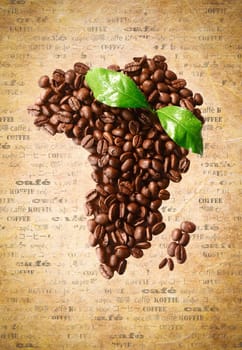 Freshly roasted coffee beans arranged in the shape of Africa on a sheet of aged vintage paper with the word coffee in multiple languages.