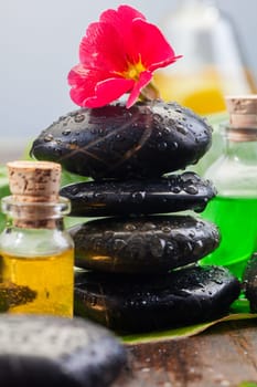 Balancing black massage stones in a spa environment with bottles of aromatherapy essential oil and a red flower