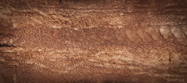 Genuine Leather for luxury goods and background composing