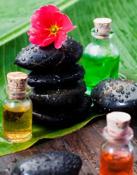Hibiscus bloom and raindrops on basalt stones and massage oils at the spa