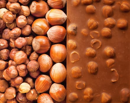 Hazelnut Chocolate with different sorts of Hazelnut