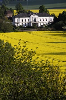 Ohr Manor