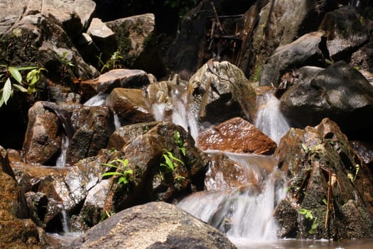 cascade water in the wild tropical forest