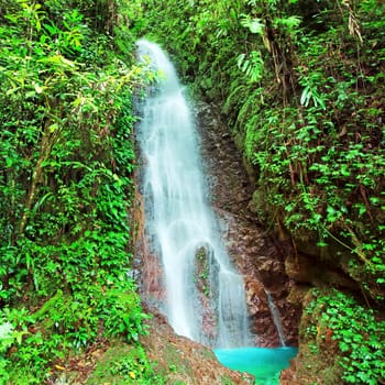 Waterfall in Kinabalu park at sunny day. Malaysia