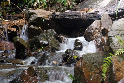 cascade waterfall in the wild tropical forest
