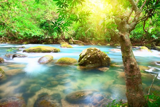 Blue water stream. Phong Nha - Ke Bang National Park. Vietnam